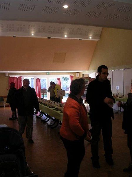 Expo champignons a St Leger 49